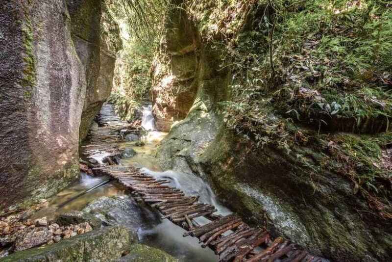 Kathmandu: Shivapuri Hill Day Hike with Lunch box - Who Should Book This?