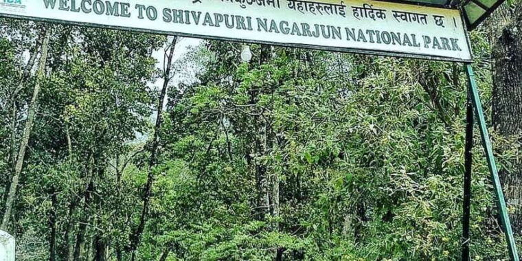 kathmandu-shivapuri-national-park-day-hiking