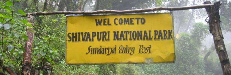 kathmandu-shivapuri-national-park-day-hiking