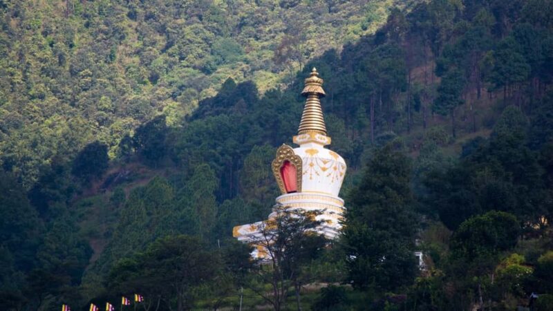 Kathmandu: Shivapuri National Park Hiking Day Trip - What You’ll See and Experience