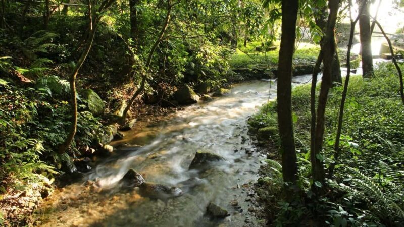 Kathmandu: Shivapuri National Park Hiking Day Trip - Practical Tips for Your Day