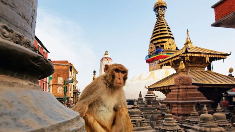kathmandu-swambhunath-durbar-square-guided-half-day-tour