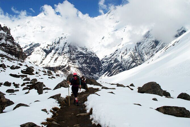 Kathmandu to Annapurna Base Camp Trek 7 Days Tour - Transport, Logistics, and Guides