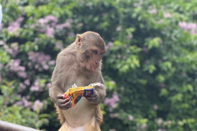 Kathmandu UNESCO World Heritage Sites Tour - Why This Tour Is a Great Choice