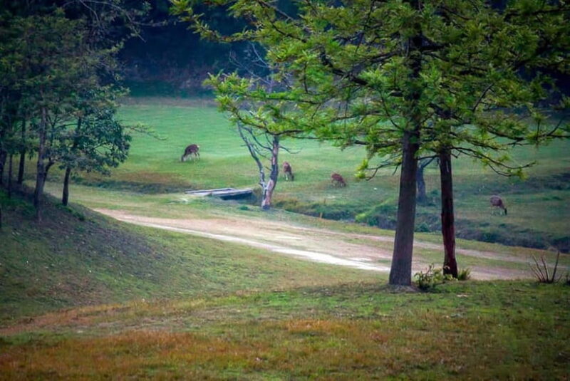 Kathmandu's 18-Hole Gem: Hike & Play the Himalayan Golf - The Practical Details