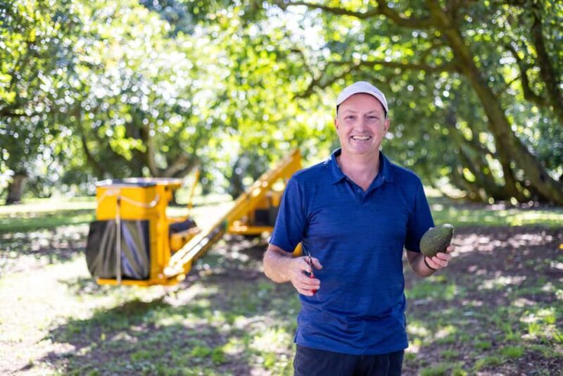 Katikati: Guided Gourmet Avocado Tour - An Inside Look at the Guided Gourmet Avocado Tour