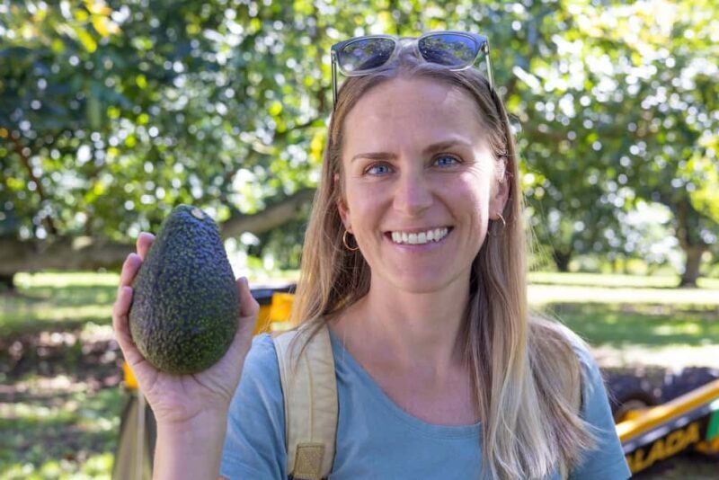 Katikati: Guided Gourmet Avocado Tour - Who Is This Tour Best For?