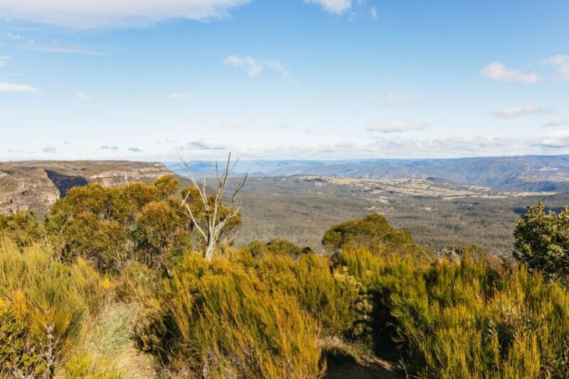 Katoomba: Lyrebird Hop-On Hop-Off and Scenic World Pass - The Itinerary Breakdown: What to Expect