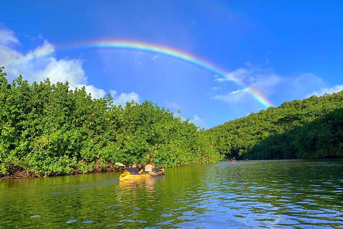 kauai-adventure-kayak-hike-to-secret-falls-with-expert-guide