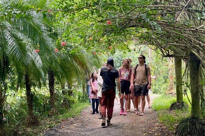 Kauai Chocolate Farm Tasting Tour - Authentic Feedback from Reviewers