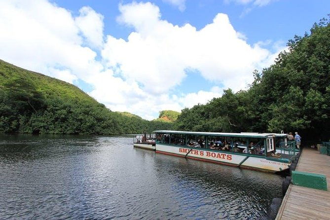 kauai-cruise-ship-excursion-wailua-river-fern-grotto-2