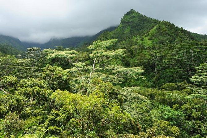 kauai-cruise-ship-excursion-wailua-river-fern-grotto-2