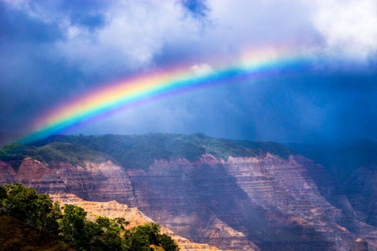 kauai-full-day-waimea-canyon-wailua-river-tour