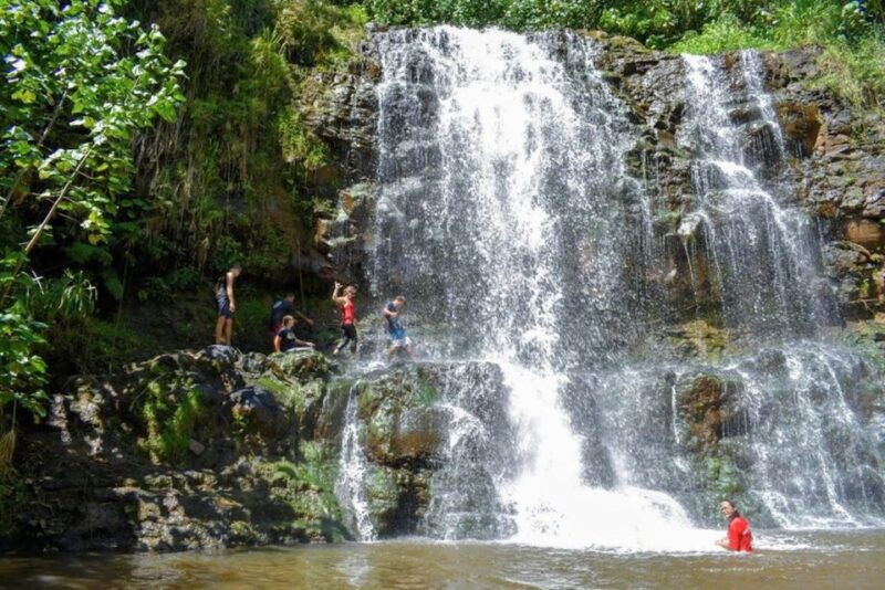 kauai-guided-hike-and-waterfall-swim