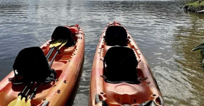 kauai-guided-kayak-and-hike-to-secret-falls