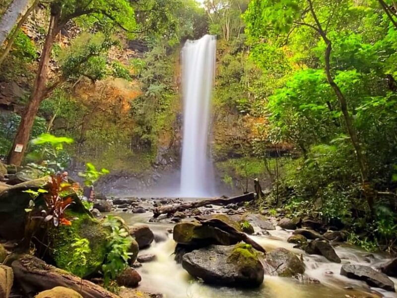 kauai-guided-kayak-and-hike-to-secret-falls