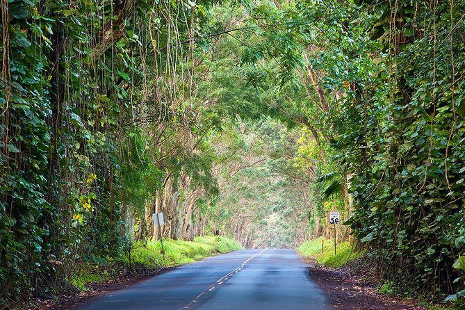 Kauai Highlights Small Group Tour -A journey to the Canyon & more - Final Thoughts: Is This Tour Right for You?