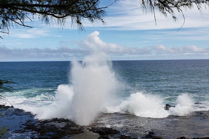 kauai-island-day-trip-from-oahu-with-airfare-included