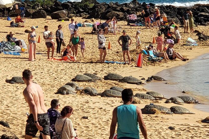 kauai-island-day-trip-from-oahu-with-airfare-included