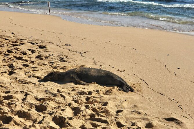 kauai-island-day-trip-from-oahu-with-airfare-included