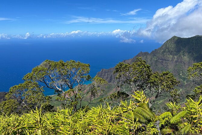 kauai-island-private-guided-tour-waimea-canyon-from-poipu-koloa