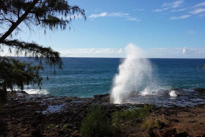 kauai-island-tour-journey-to-waimea-canyon-more-highlights