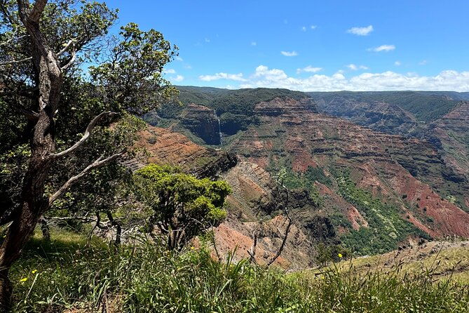 kauai-island-tour-journey-to-waimea-canyon-more-highlights