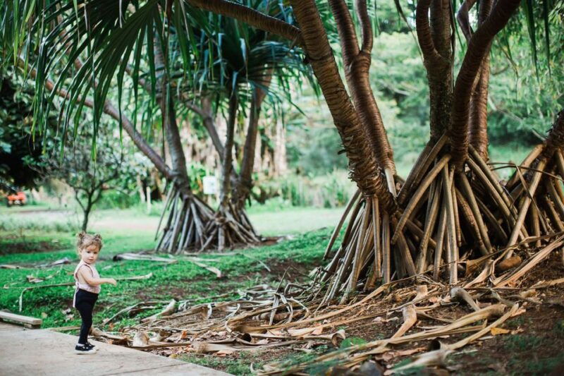 kauai-mcbryde-garden-self-guided-visit