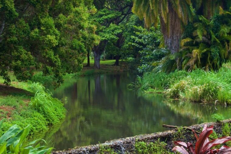 kauai-mcbryde-garden-self-guided-visit