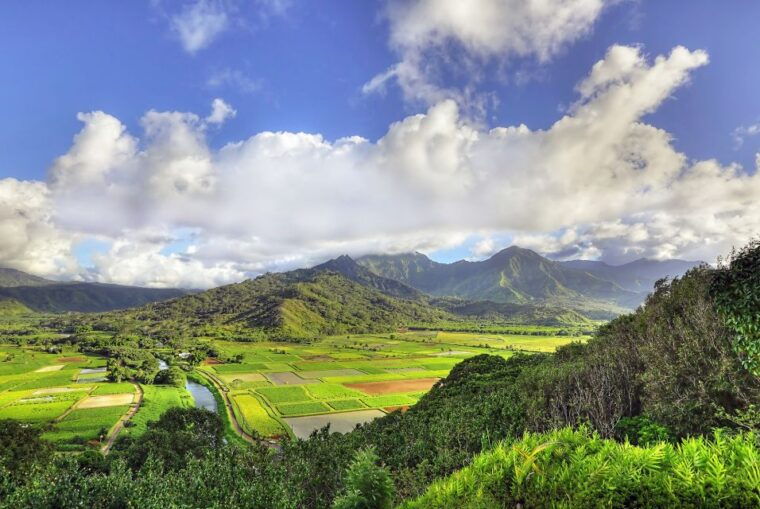 kauai-movie-locations-tour