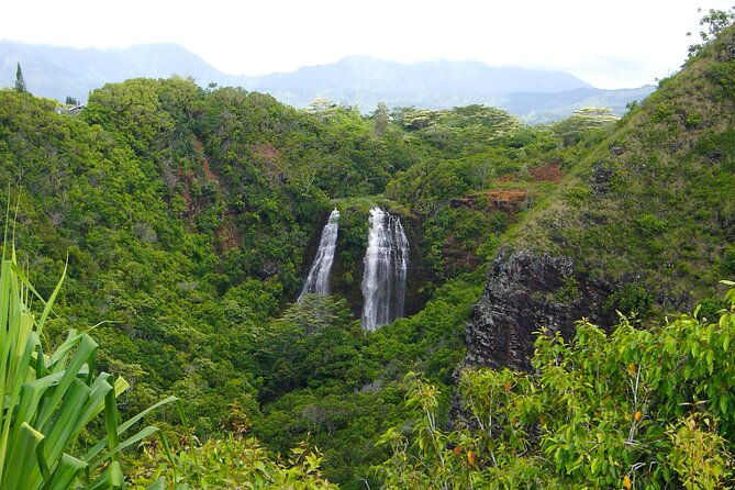 kauai-north-shore-private-guided-tour-with-hotel-or-port-pick-up