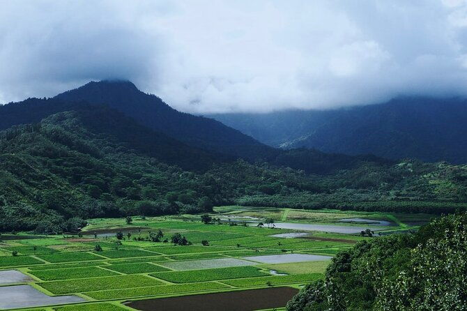 kauai-north-shore-private-guided-tour-with-hotel-or-port-pick-up