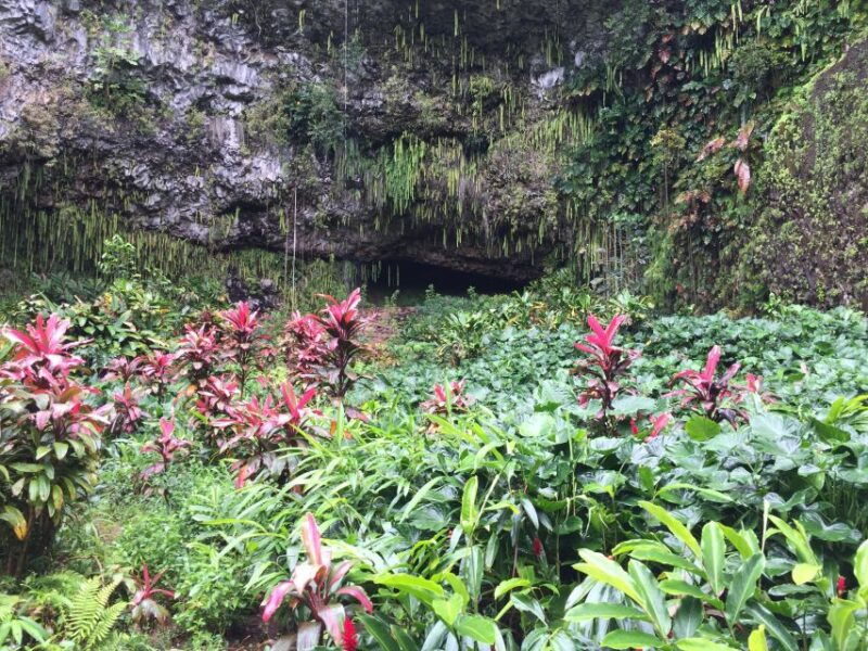 kauai-northeast-tour-fern-grotto-river-cruise-lighthouse