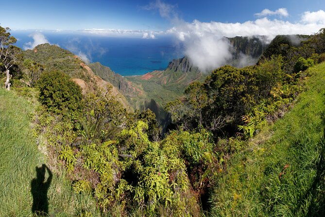 kauai-shore-excursion-waimea-canyon-adventure-tour-nawiliwili-2