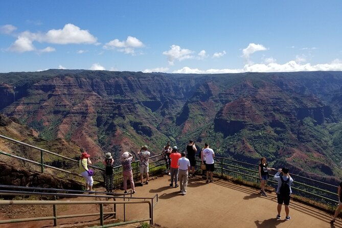 kauai-shore-excursion-waimea-canyon-adventure-tour-nawiliwili-2