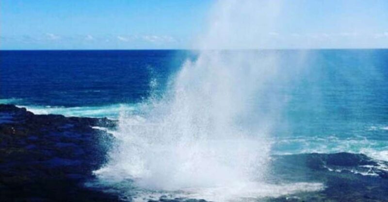 Kauai: Waimea Canyon and Waterfall Adventure Day Tour - Exploring Kauai’s Natural Wonders