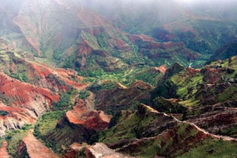 Kauai: Waimea Canyon and Waterfall Adventure Day Tour - Authentic Insights from Reviews