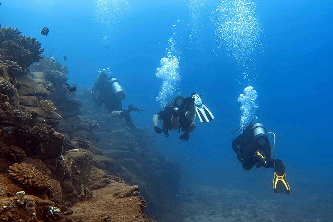 kauais-exclusive-morning-scuba-charter-for-experienced-divers-2