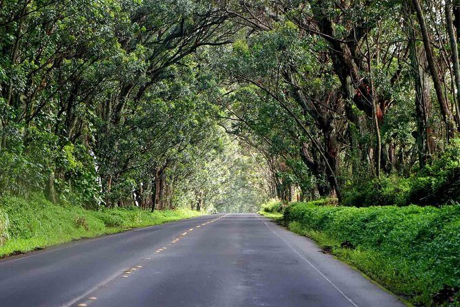 Kauai's South & East Small-Group Tour: Legends & Waterfalls - Authentic Experiences Shared by Travelers