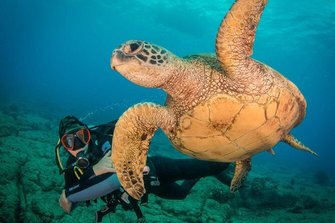 Kauai's Ultimate Discover Scuba Dive - OCEAN EXPERIENCE (1 Tank Dive) - What to Expect Before the Water