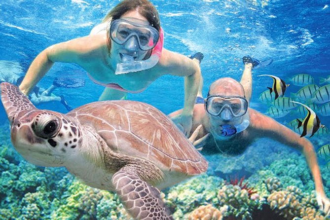 kauais-ultimate-guided-shore-snorkel-no-boat-south-poipu