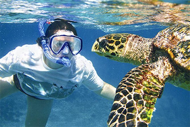 Kauai's Ultimate South Island Zodiac Boat Snorkel Adventure - The Itinerary: What to Expect