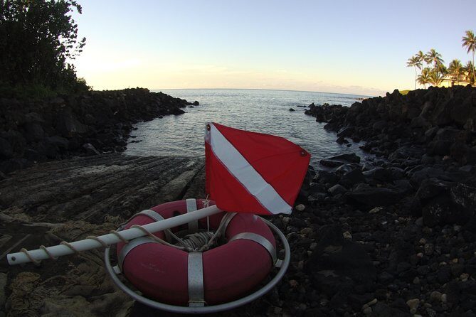 Kauai's Ultimate South Shore 2 Tank Dive (Certified Divers Only) - Marine Life & Encounters