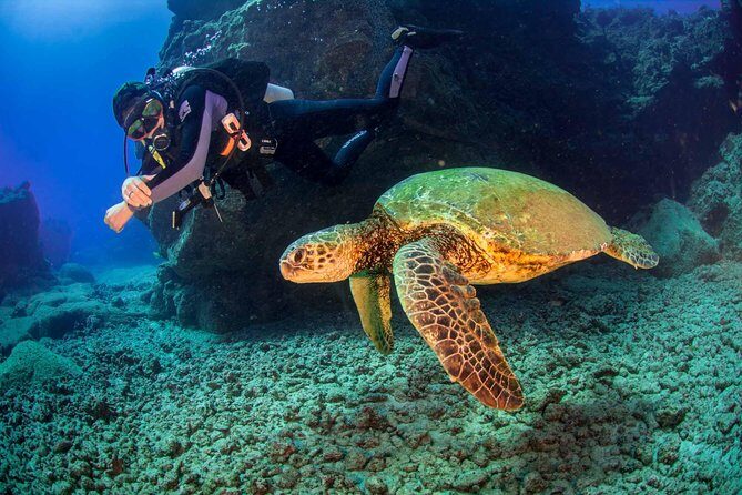 Kauai's Ultimate South Shore 2 Tank Dive (Certified Divers Only) - Equipment & Comfort