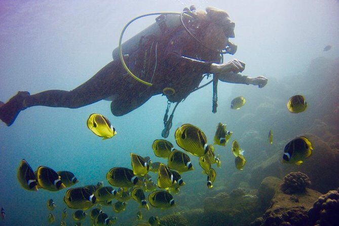 Kauai's Ultimate South Shore 2 Tank Dive (Certified Divers Only) - Duration & Group Size
