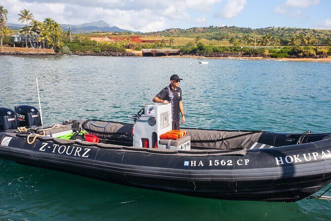 Kauai's Ultimate South Side Whale & Dolphin Zodiac Boat Adventure - What to Expect During the Tour
