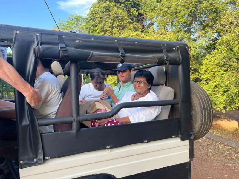 kaudulla-national-park-elephant-safari-jeep-tour