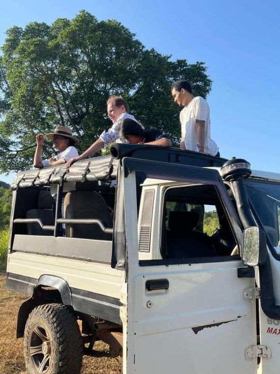 kaudulla-national-park-elephant-safari-jeep-tour