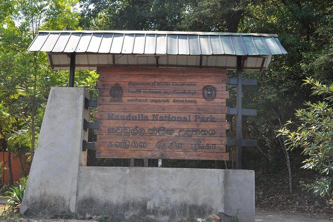 Kaudulla National Park Entrance Ticket with Private Safari - An In-Depth Look at the Kaudulla Safari Experience