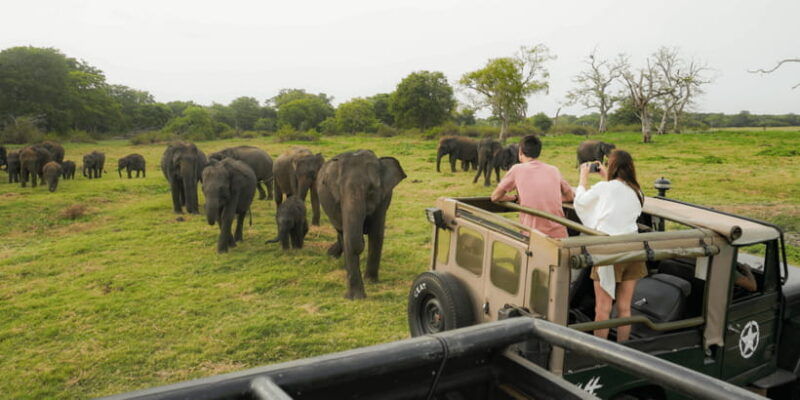 kaudulla-national-park-half-day-sri-lanka-jeep-safari
